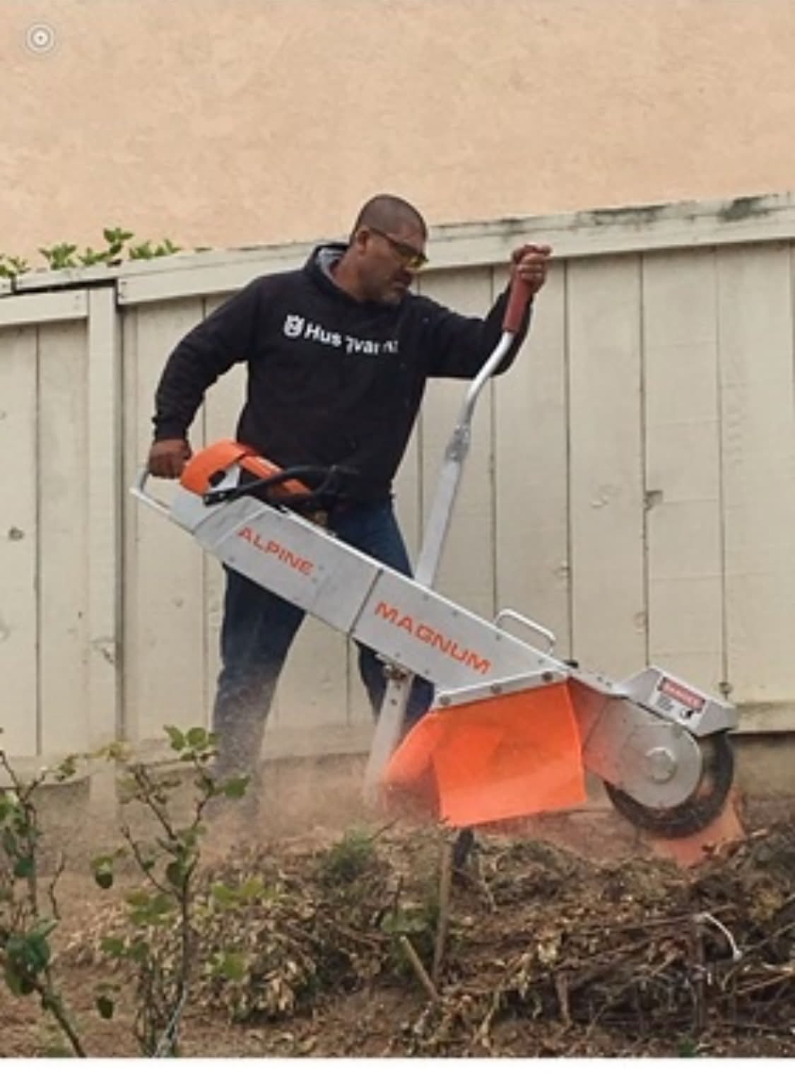 Recent tree service and landscaping work by Artistic Solutions in San Diego County