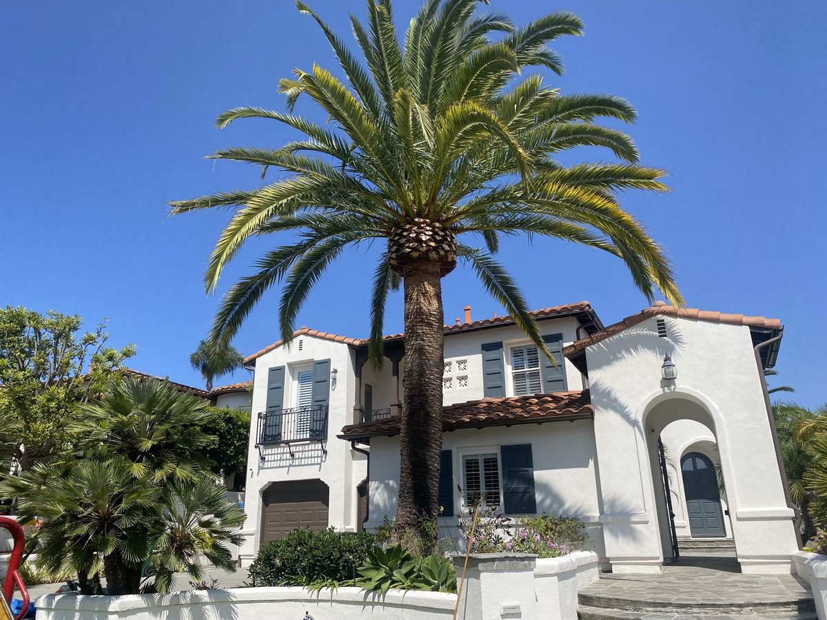 Residential Landscaping by Artistic Solutions Tree Service and Landscaping
